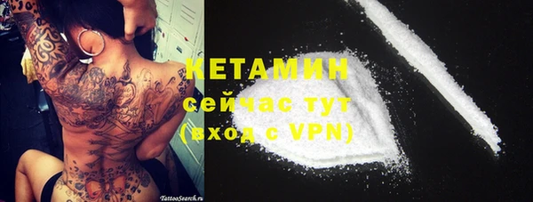 ALPHA PVP Остров