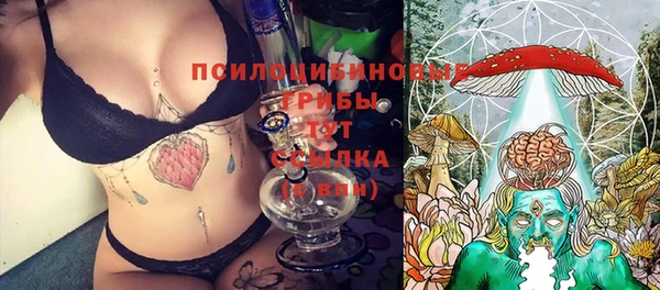ALPHA PVP Остров