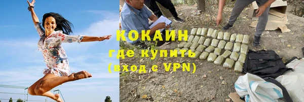 ALPHA PVP Остров