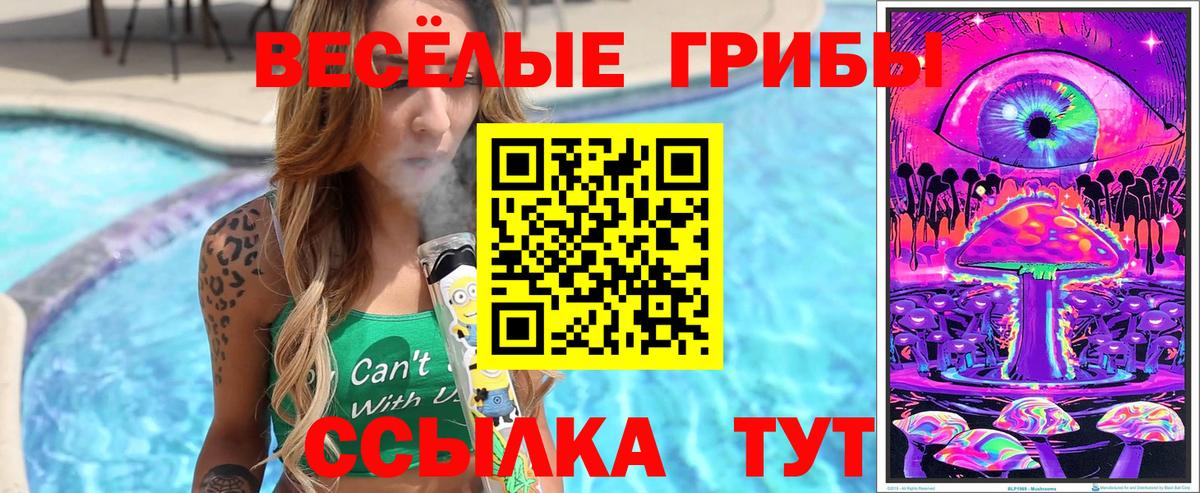 Псилоцибиновые грибы MAGIC MUSHROOMS Волжск