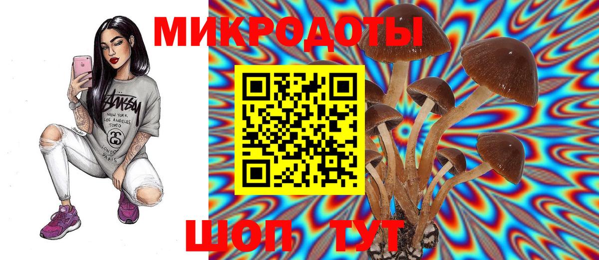Галлюциногенные грибы Magic Shrooms  Волжск  Псилоцибиновые грибы мицелий 