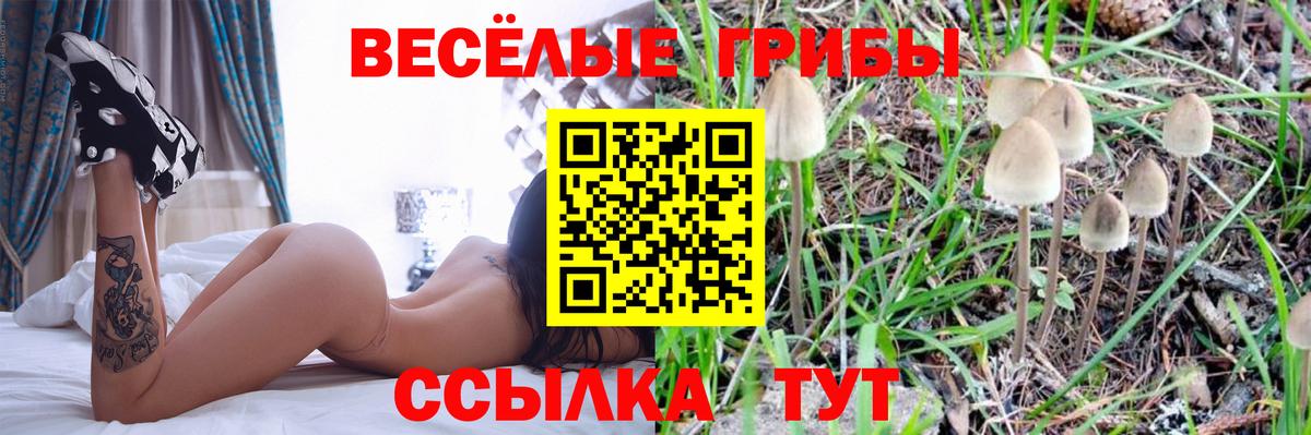 ГАШИШ Волжск