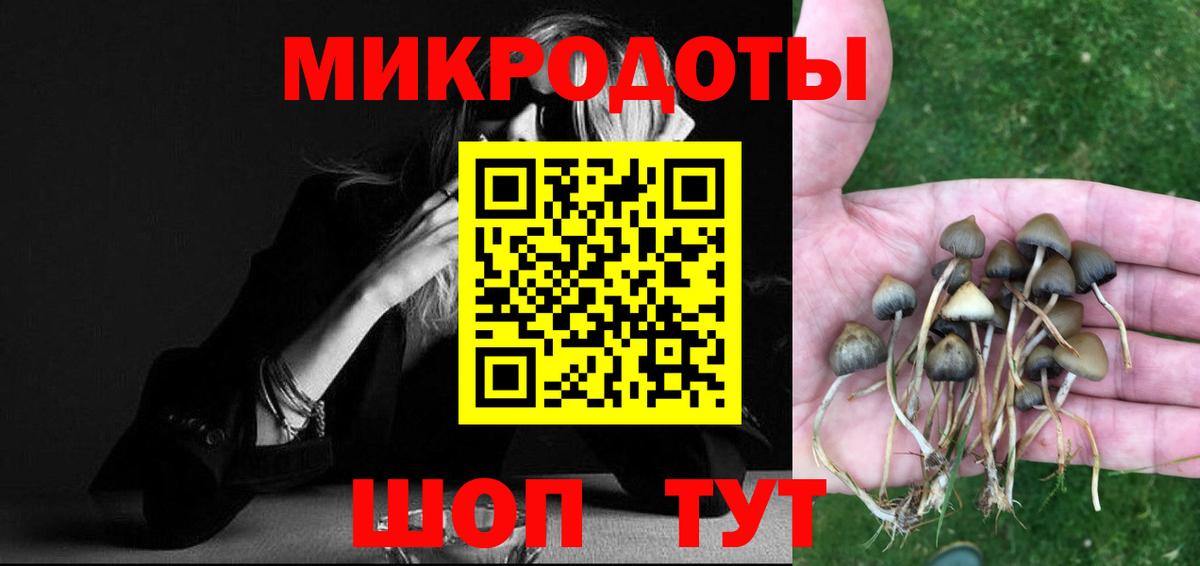 Волжск  Галлюциногенные грибы GOLDEN TEACHER  Вход с VPN 